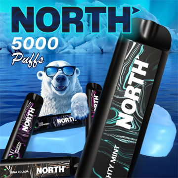 NORTH 5000 PUFFS DISPOSABLE VAPE